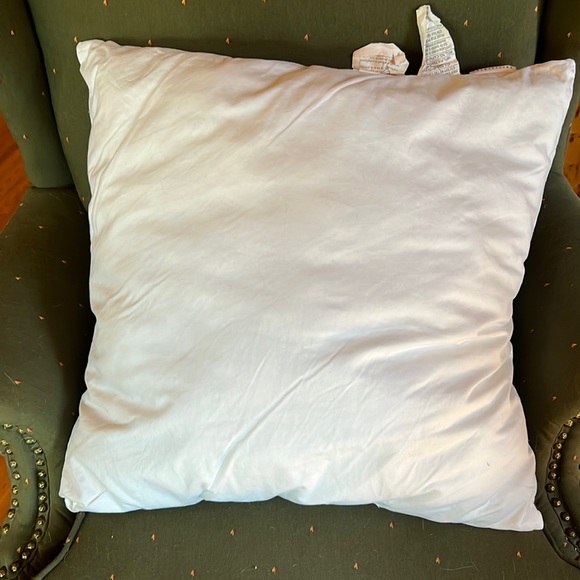 Pottery Barn Accents Pottery Barn Pillow Insert 22 X22 Poshmark